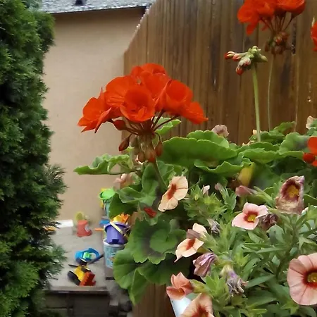 Apartment Csilla Makó